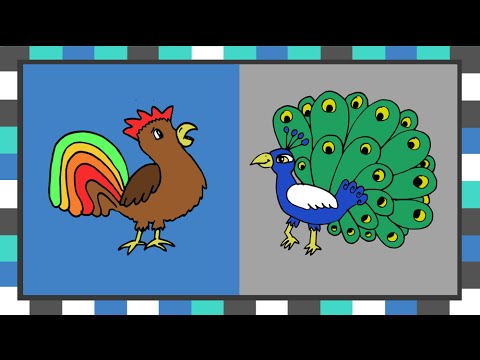 Deutsch lernen: Artikel - Teil 1 - DER - Maskulinum