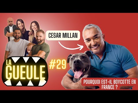 La GUEULE #29 - CESAR MILLAN / CHIEN AGRESSIF / ACTU / EDUCATION