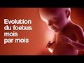 GROSSESSE - L’évolution du foetus mois par mois - Doctissimo GROSSESSE - L’évolution du foetus mois par mois