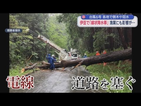 YouTube Video 【台風6号】「線状降水帯」発生の伊豆で線路に大量の土砂流入し復旧のメド立たず　倒木が原因で停電　1時間で60mm近い「非常に激しい雨」も　