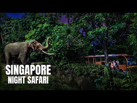 Night Safari Singapore Walking Tour (4K HDR)