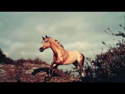 Đoản ca tình - Thanh Hưng