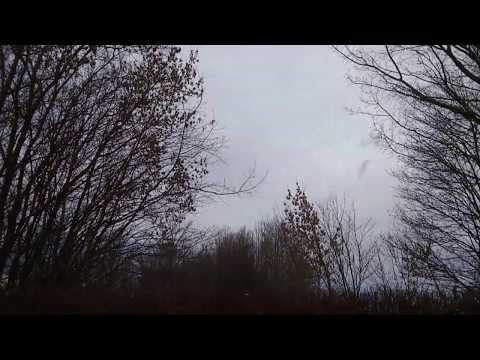 Sturm. - bzw. Orkantief SABINE kommt langsam in Fahrt 2020.02.09