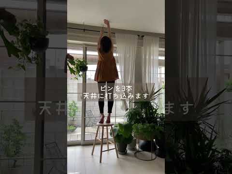 偽クローバー インパチェンス プランター 日向中日陰の協会