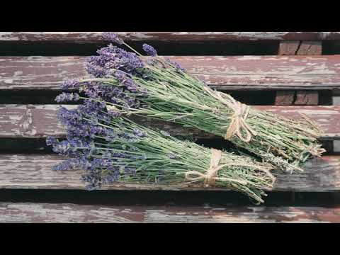 ONE SUMMER DAY AT LAVANDULA LAVENDER FARM - a beautiful place with a sweet smelling treasure.