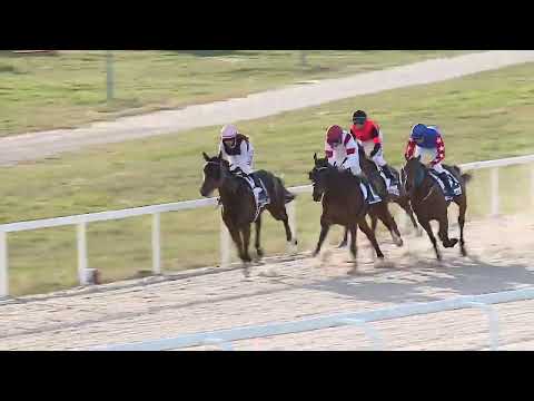 2023.03.26. 08. futam - TAVASZI HENDIKEP (I.o.) (szintetikus pálya)