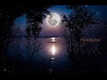 Pottu Vaithu Poo Mudikkum Nila WhatsApp Status Nila Status
