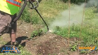Removing Weeds Safely without Chemicals (Instead using Steam!) - Steam Culture