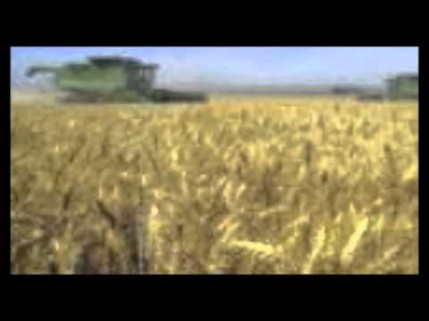 The Food Chain Guide