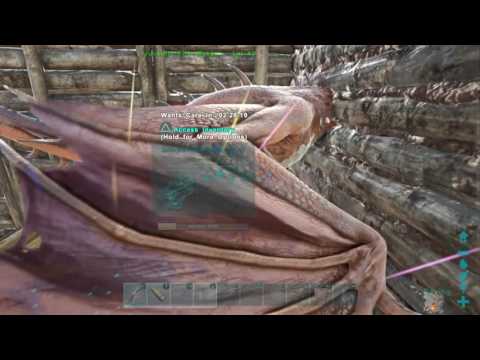 ARK: Survival Evolved glitch Raising wyvern