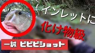 【一誠】インレットに、バケモノ級居た、、、【バス釣り】