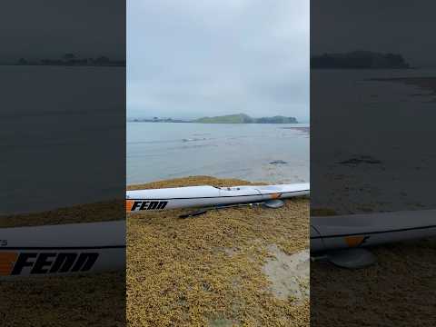 Hole in the rock! #surfski #standuppaddle #lowtide #newzealand