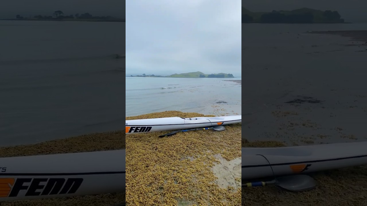 Hole in the rock! #surfski #standuppaddle #lowtide #newzealand