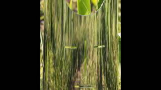 playgroup - bring it on (version)