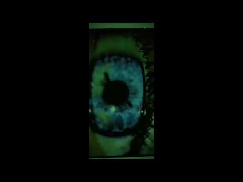 Włodi - Musze przetrwać ( RB Vision RMX )