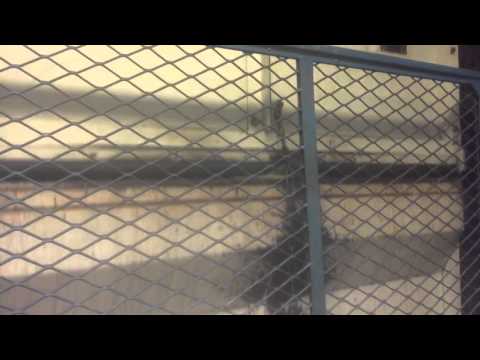 MUST WATCH: AWESOME DOVER Impulse Oildraulic Freight Elevator @ UCSD, La Jolla, CA