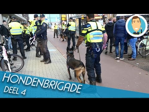 HONDENBRIGADE | SURVEILLANCEHONDEN | POLITIE | DEEL 4