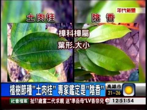 陰香有毒嗎