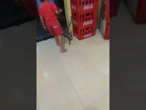 😇😍😂😃😉😗😘😋😵😮😮😲😼😾💝💋💛🖕✊🙋‍♀️Pola