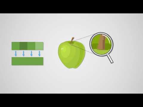 Compression - AQA GCSE Computer Science