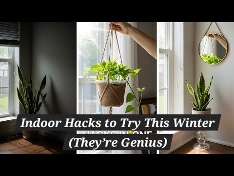 12 Dollar Tree Indoor plant Hacks That Work Well in Winter ❄️ | Green Haven Hacks 