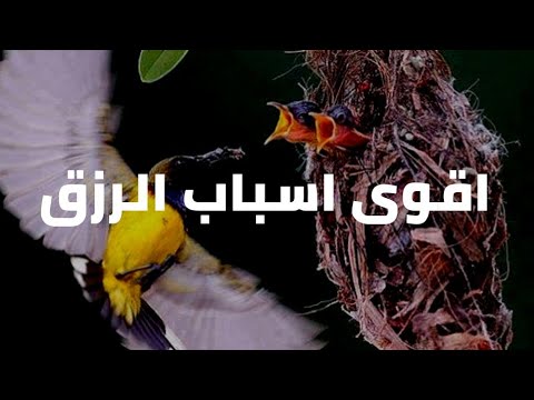 اقوى أسباب الرزق