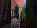 Download Mata Rani Ka Bhajan ❤️ Haryanvi Bhajan Radha Mandali Dulhera Mp3 Song