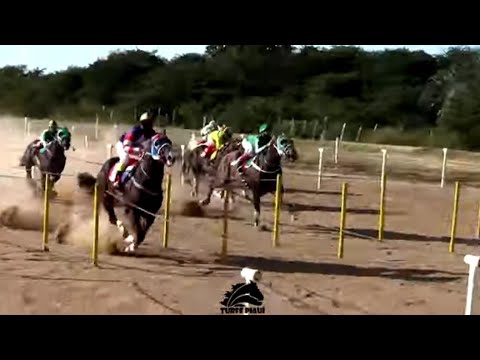 Cortes - 4º Páreo / I BAHIA FUTURITY 2021
