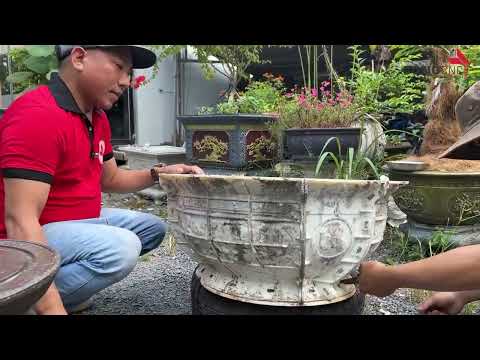 Tháo Khuôn Chậu Tròn Xoay 70 Quá Sắc Nét, Mang Một Nét Đẹp Độc Đáo, Tinh Tế Và Mới Lạ Trong Thiết Kế