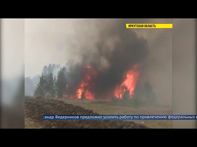 Областной парламент окажет поддержку в борьбе с лесными пожарами