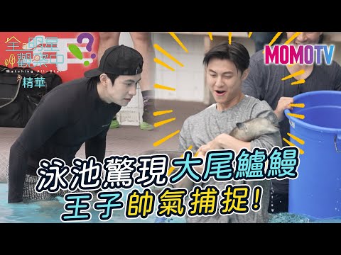 🔎全明星觀察中第二季🏠#6精華：泳池驚現大尾鱸鰻 王子帥氣捕捉！