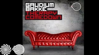 Gaudium & Bakke - Therapy Comedown