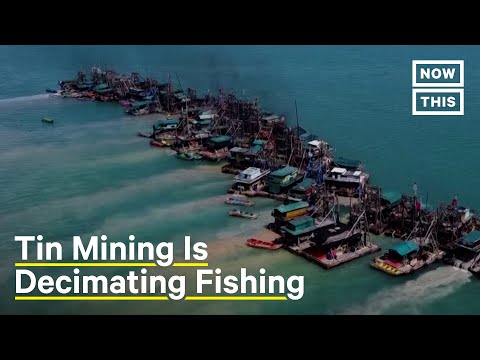 Tin Mining Decimates Indonesian Community's Fishing Industry