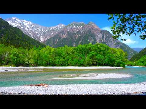 15 Minutes Flowing Water Sounds: Gentle Stream with Relaxing Nature Sounds