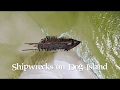Shipwrecks on Dog Island, FL unearthed by Hurricane Michael