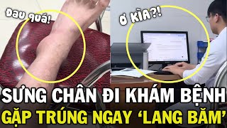 Thấy bác sĩ Việt lén dùng ChatGPT CHỮA BỆNH, Tây Balo hoảng loạn CẦU CỨU CĐM và cái kết | Pin News