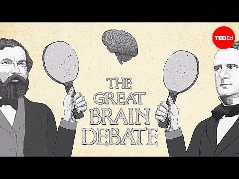 TED-ED】偉大なる脳内討論会 - テッド・アルトシューラー