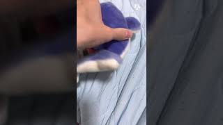 イルカの兄弟