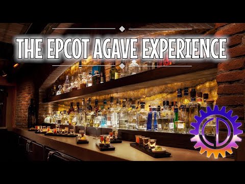 image-How much is the agave experience at Epcot?