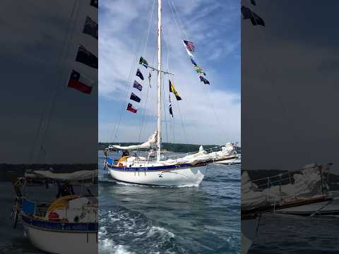 Day 271 at Sea, a day to remember!