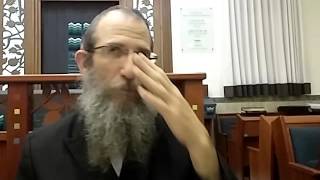 הרב ברוך וילהלם - פרשת פקודי
