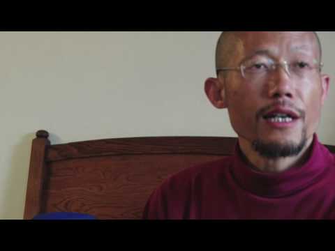 Paida the Back to Relieve Back Pain