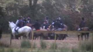 preview picture of video 'bray harriers - glenealy hunt'