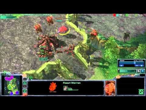 mOOnGLaDe (z) vs LiquidTLO (z) - Jungle Basin