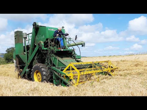 VINTAGE HARVEST DAY 2024 - FULL VIDEO