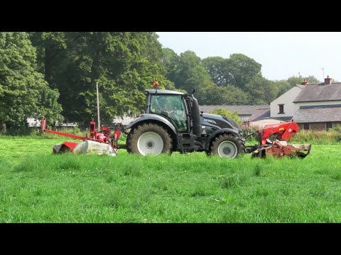 Silage '20 - Fourth Cut Mowing with Valtra and Kuhn Triples.