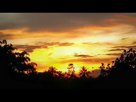 New Ireland Blo Me (2018)   Jayrex Suisui  Coral Springs