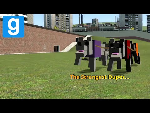 The Strangest Dupes... | Garry’s Mod