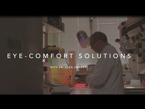 HONOR 90  | Guardian of Sight