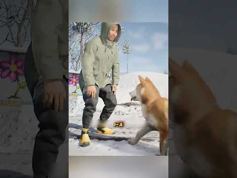 „Cashes, câinele-erou: salvarea unui cățel rătăcit în zăpadă” #viralvideo
